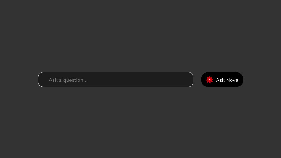 Ask Nova project preview